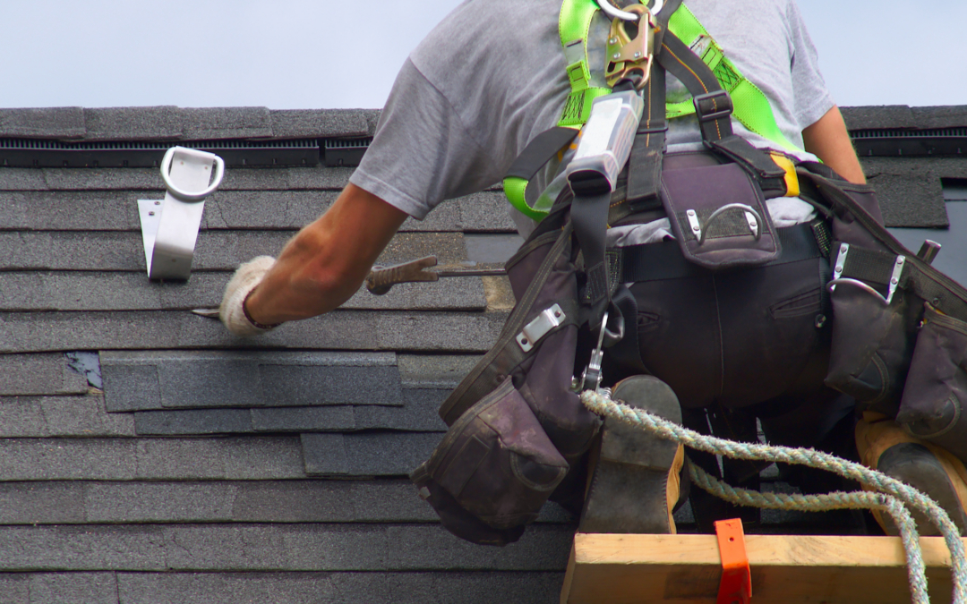 Pourquoi faire rénover sa toiture avant d’installer des panneaux photovoltaïques ?